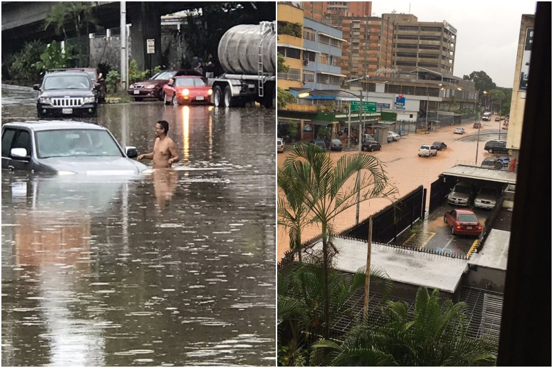 Se Lo Mostramos Avenidas Anegadas Tr Fico Y Rboles Ca Dos Los