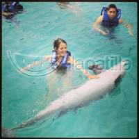 Indira con los delfines