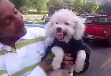 ¡Increíble! Perro opositor se molesta cuando lo comparan con Nicolás Maduro + VIDEO