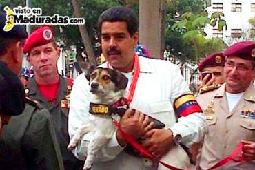 El meme que Maduro no quiere que veas + Perrito aterrado + ¡JAJAJA!