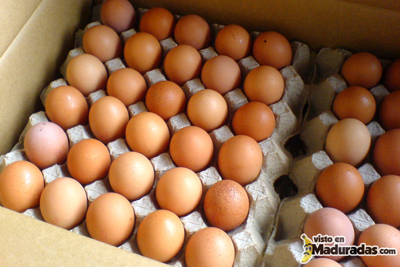 Carton-de-Huevos-Venezuela-800x533