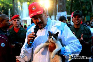 Nicolás Maduro ordena fiscalizar alimentos para mascotas ¿Y LOS NUESTROS?