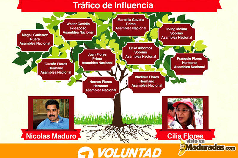 trafico de influencias cilia flores y nicolas maduro