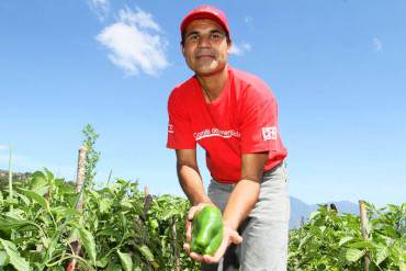 ¡15 AÑOS DE INEFICIENCIA! Modelo agroalimentario socialista resultó un gran fracaso