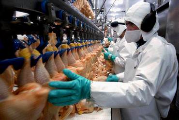 ¡SOBERANÍA ALIMENTARIA! Venezuela compra a Uruguay 50 millones de dólares en leche y pollo