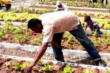 ¡CRECE EL DESCONTENTO! Campesinos chavistas piden «sacudón» en Min-Agricultura