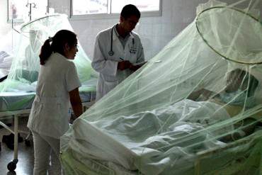 ¡GRAVE! Reportan aumento de dengue, chikungunya y malaria: 1.250.119 casos de fiebre aguda