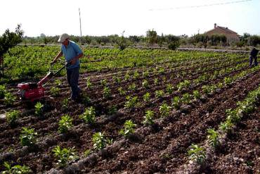 ¡RÉGIMEN INMORAL! Gobierno arrincona a los agricultores del país al importar toda la comida