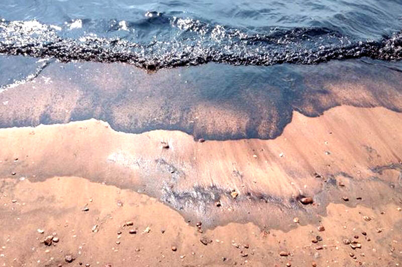 playa-contaminada-punto-fijo