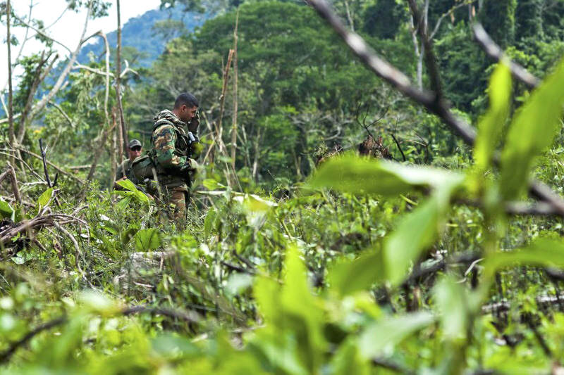 Narcotrafico-en-Venezuela-Trafico-de-Drogas-en-Frontera-con-Colombia-Colombo-Venezolana-4-800x533