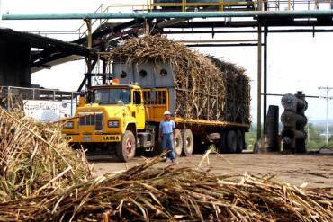 ¡INCREÍBLE! Toneladas de caña de azúcar se perderán por falta de repuestos y maquinaria