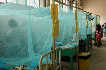 ¡LO QUE NOS FALTABA! Más de 300 personas se enferman de malaria cada día en Venezuela