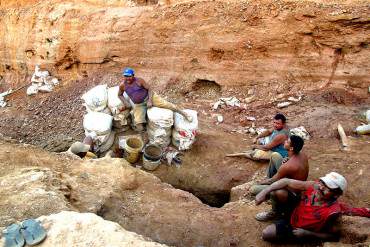 ¡LO QUE FALTABA! Alertan que Corporación del Oro podría expandir mafias mineras en Carabobo