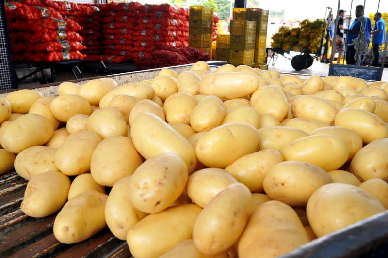 Produccion-de-Papa-en-Venezuela-Agricultura-2-800x533