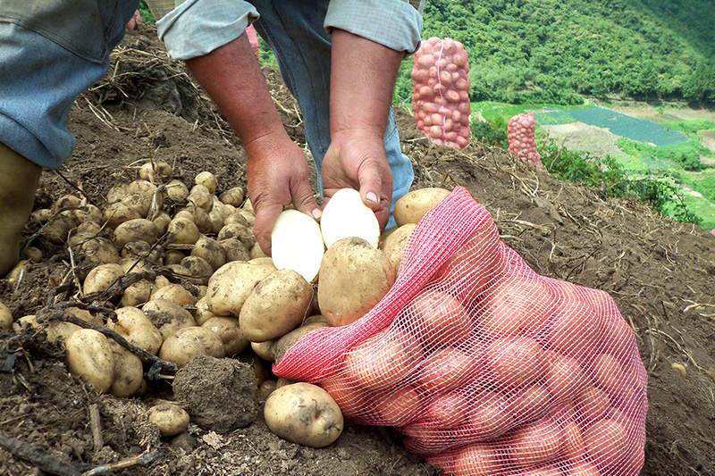 Foto: agroaldea.es