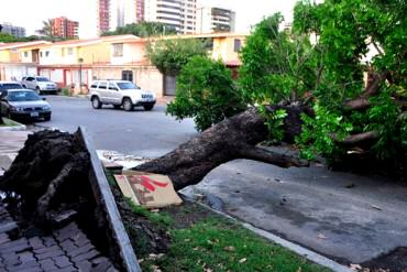 ¡HACIENDO DESASTRES! Fuertes lluvias dejaron un muerto y un herido en la Gran Caracas