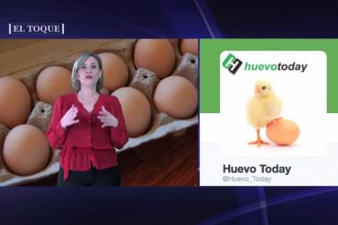 ¡IMPERDIBLE! Diana Carolina Ruiz da en el clavo: «¿Qué fue primero, el huevo… o el dólar?» (+Video)