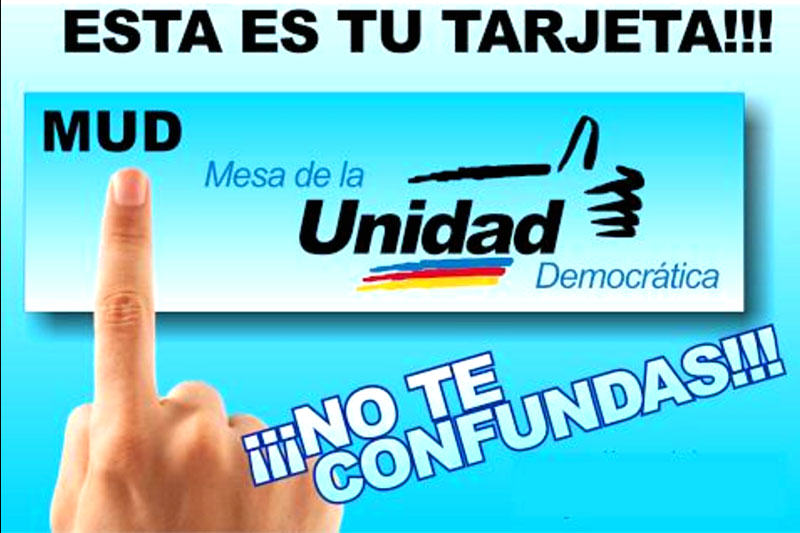 mud-mesa-unidad-democratica-parlamentarias