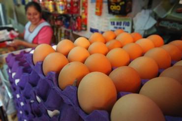 ¡LA ECONOMÍA EN MANOS DE INCAPACES! Establecen subsidio de Bs. 250 para cartón de huevo