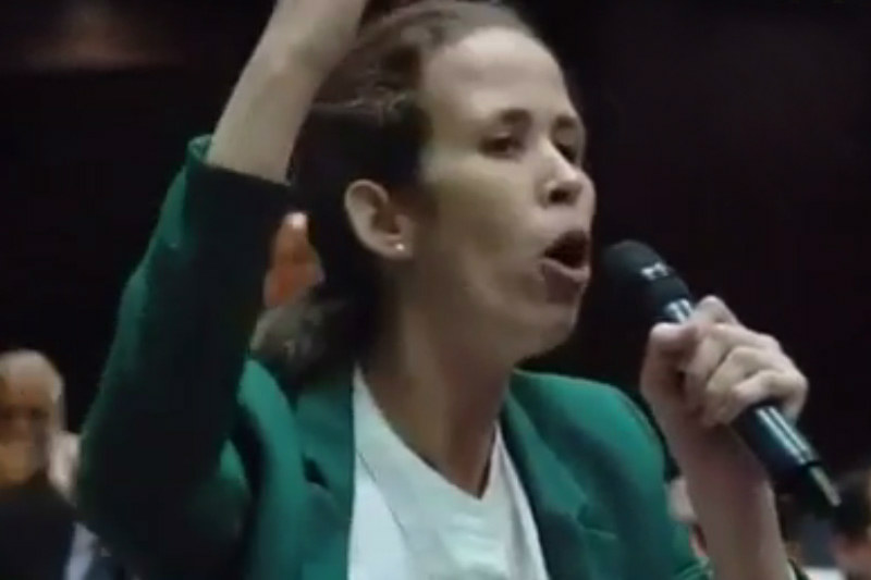 Diputada Manuela Bolívar