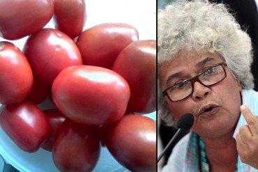 ¡AH OK! En Vive TV hicieron caso a la ministra de Agricultura y cultivaron tomates en el techo