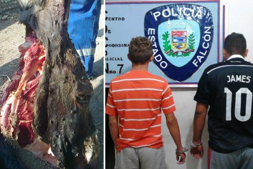 ¡A LO QUE HEMOS LLEGADO! Encarcelan a 2 hombre por intentar vender carne de burro en Falcón