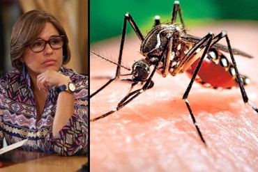 ¡LA MINISTRA LO TIENE OCULTO! Aseguran que en Venezuela «hay más de 500 mil casos de Zika»