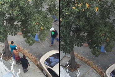 ¡HISTORIAS DE LA PATRIA! Intentó robar con pistola de «juguete» y lo mataron con una de verdad