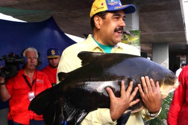 ¡INSÓLITO! Maduro propone poner «gallineros verticales» y criar peces en tanques en apartamentos