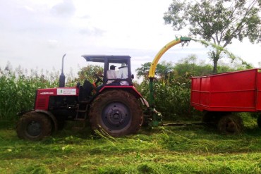 ¡EN JAQUE! Productores del Sur del Lago a punto de paralizar producción por falta de insumos