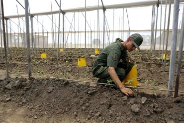 ¡MADURO NO ENTIENDE! Ingenieros Agrónomos: Agricultura urbana NO resolverá abastecimiento