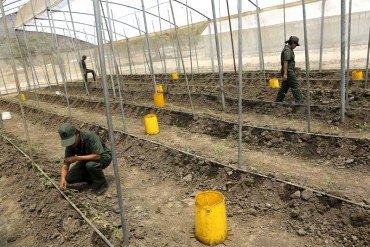 ¡ES EN SERIO! Fanb se puso a cultivar alimentos: van por la cría de gallinas ponedoras y cochinos