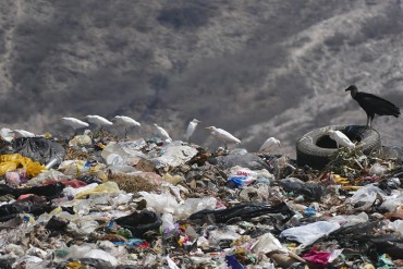 ¡DE TERROR! Hallan a dos fetos de avanzada etapa de gestación en basurero de Táchira