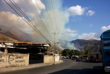 ¡TRAGEDIA AMBIENTAL! Incendio ha devorado 60% de la sabana del parque Henri Pittier