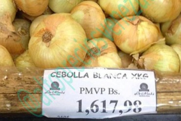 ¡ESTO SÍ PROVOCA LLORAR! Se necesitan 4 días de sueldo para comprar UN solo kilo de cebolla