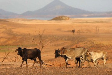 ¡IMPACTANTE! Las imágenes del Guri vuelto un «desierto» que te darán ganas de llorar