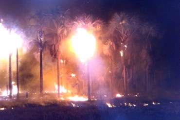 ¡FATAL! Un fuerte incendio afectó al Parque Nacional La Llovizna en Puerto Ordaz