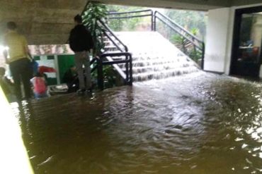 ¡CAOS! Se inunda la Universidad Santa María: Bomberos sin equipos para atender emergencia