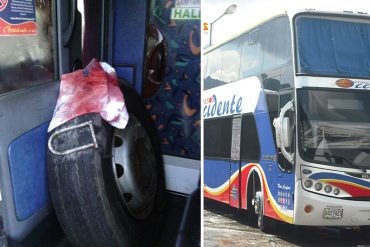 ¡HAMPA DESATADA! Atracaron a pasajeros de un Expresos Occidente y golpearon al chofer