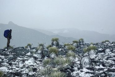 ¡NUESTRO HERMOSO PAÍS! Los páramos de Mérida sorprendieron este miércoles con nieve