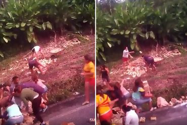 ¡SIGUE EL DESASTRE! Saquearon camión que transportaba harina PAN en El Guapetón (+Video)