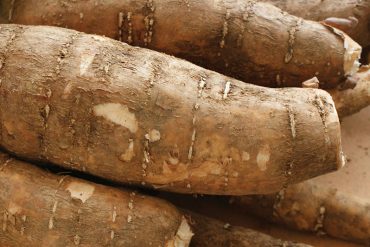 ¡ALERTA! Denuncian que tres toneladas de yuca amarga robadas son vendidas en mercados