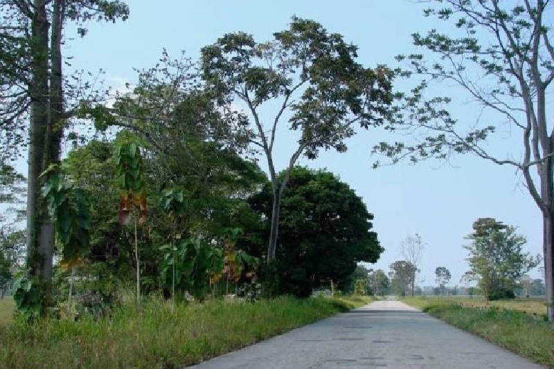 Foto: El Cooperante