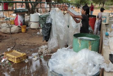 ¡TRABAJAN EN LA BASURA! 1.500 familias zulianas viven de la recolección de bolsas usadas