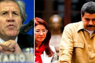 ¡A CILIA Y A NICO NO LES GUSTA ESTO! Almagro sobre «narcosobrinos»: Las autoridades que callan son cómplices