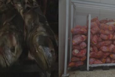 ¡INSALUBRE! Decomisan toneladas de pollo y pescado podridas que eran vendidas al público