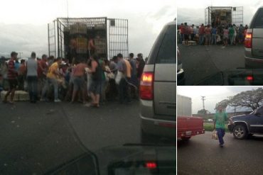 ¡ASÍ ESTAMOS! Reportan saqueo de pollos vivos en la autopista Tocuyito-Valencia (+Fotos)