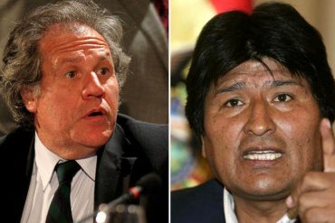 ¡FRONTAL! Almagro sobre Bolivia: “¿Golpe de Estado”? Sí, en el momento en el que pretendieron robarse las elecciones y perpetuar a Morales (+Video)