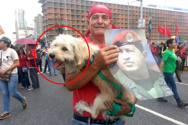 ¡SAPE GATO! El perro en la marcha chavista que se alteró cuando le sacaron el cartel de Chávez