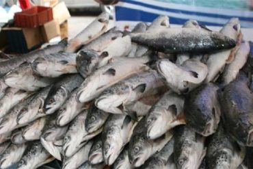 ¡NO ALCANZÓ EL PESCADO! La tángana que se armó en la “Feria Socialista del Pescado” en Maiquetía